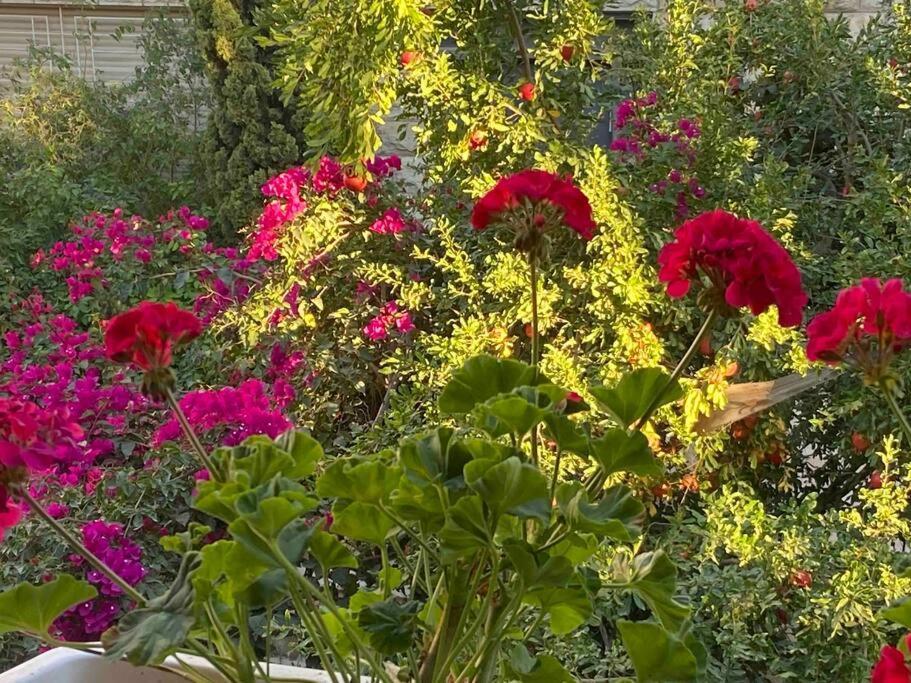 Home In القدس المظهر الخارجي الصورة